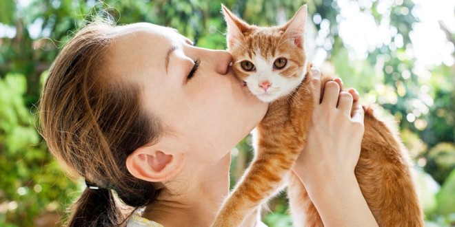 ▷ Los gatos y sus semejanzas con los seres humanos | En Murcia