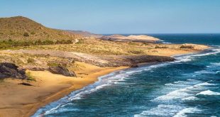 "La Playa está viva": Una ruta que no te puedes perder