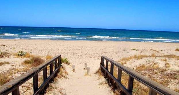 Descubre los tesoros de una playa natural