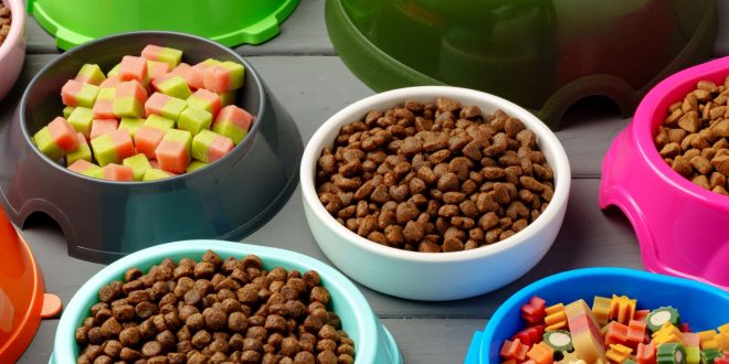 Beneficios de una dieta equilibrada para perros y gatos